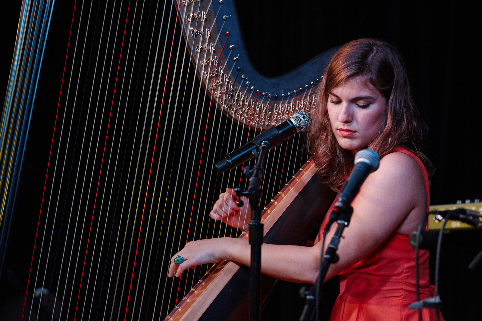 Pia Salvia Offers New Translations of 'What' a Harp Can Do | Berklee