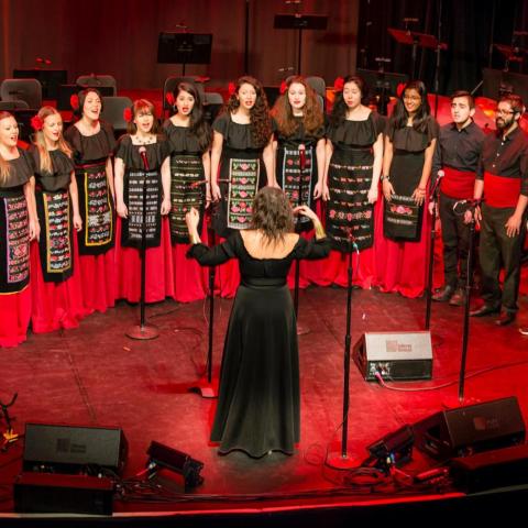 The Pletenitsa Balkan Choir
