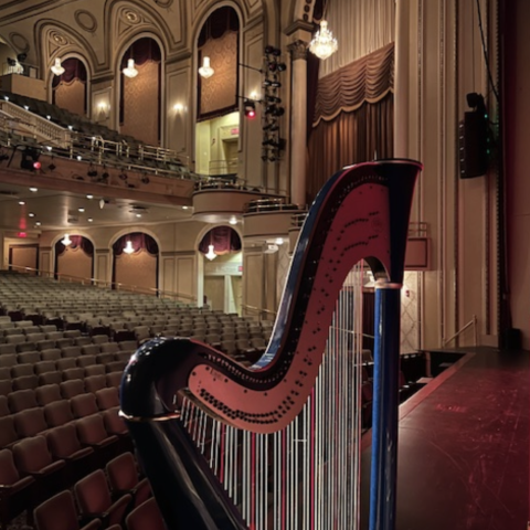 Harp in a concert hall 
