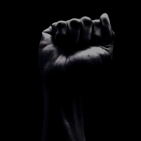 picture of a fist raised in a power salute