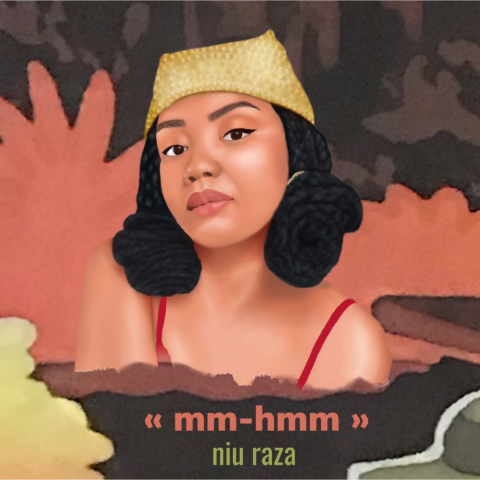 Image of Niu Raza's album cover 